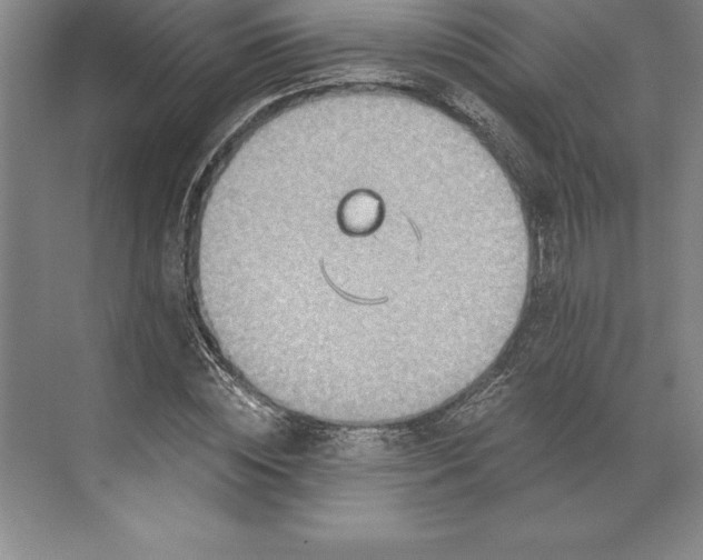 X0000071330828200607071630