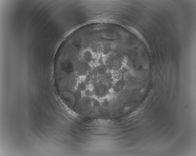 X0000071330831200607071630