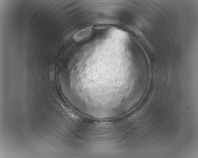 X0000071330833200607071630