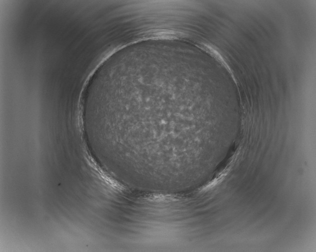 X0000071330835200607071630