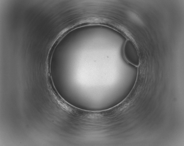 X0000071330837200607071630