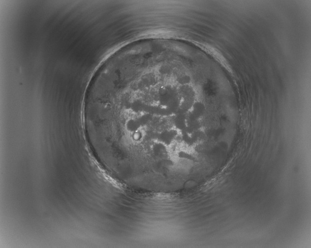 X0000071330839200607071630