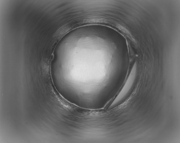 X0000071330841200607071630