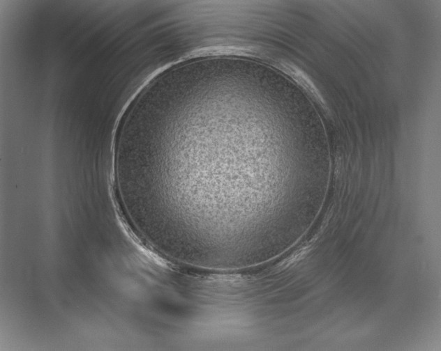 X0000071330844200607071630