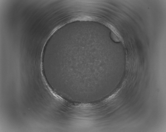 X0000071330845200607071630