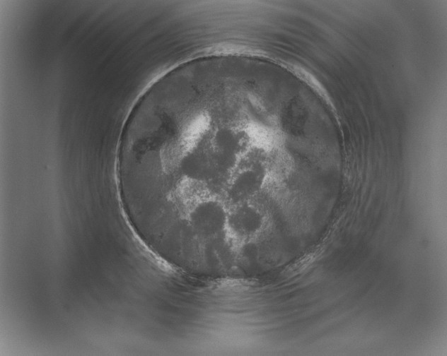 X0000071330847200607071630