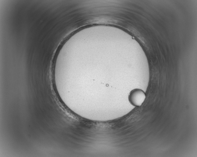 X0000071330848200607071630