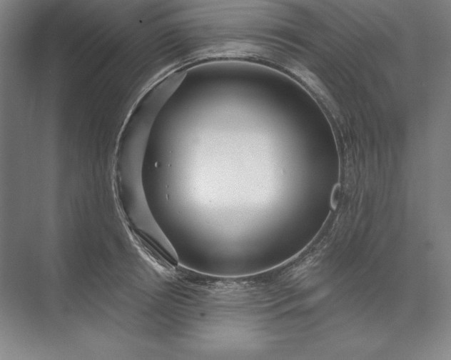 X0000071330850200607071630