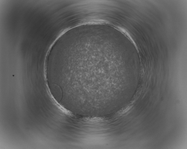 X0000071330851200607071630