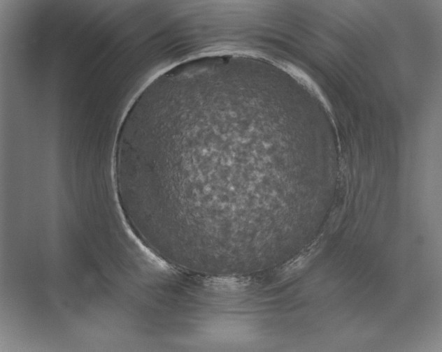 X0000071330855200607071630