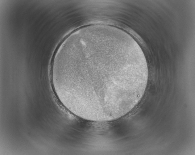 X0000071330856200607071630