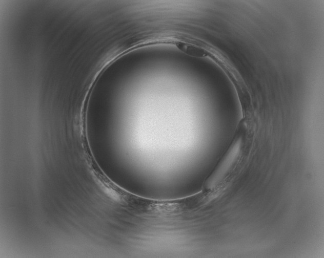 X0000071330858200607071630