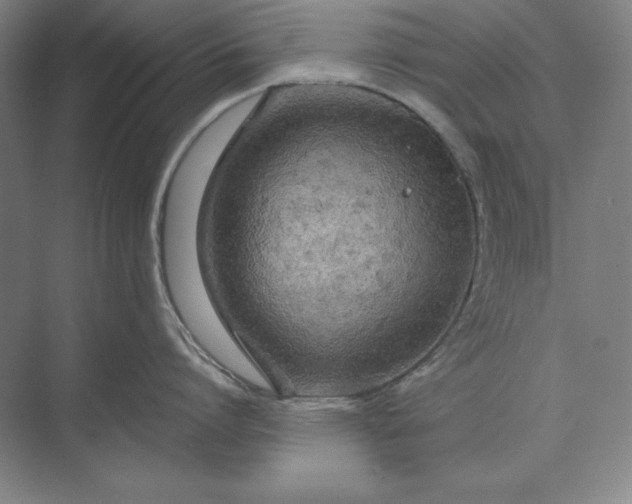 X0000071330864200607071630