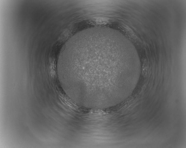 X0000071330866200607071630