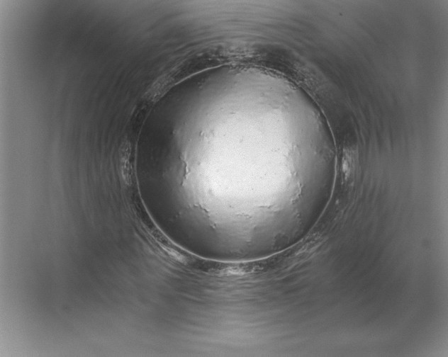 X0000071330867200607071630