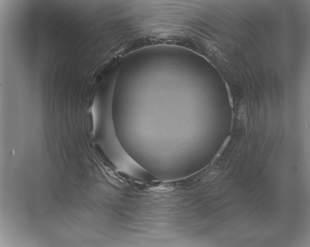 X0000071330868200607071630