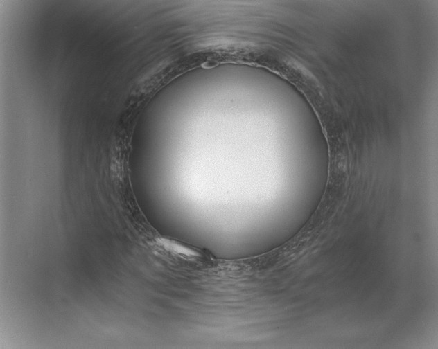 X0000071330869200607071630