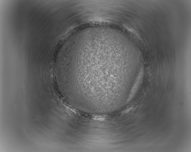 X0000071330870200607071630