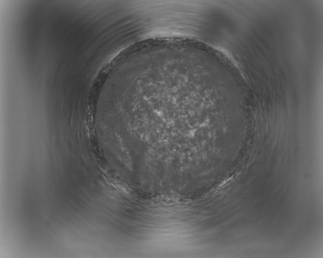 X0000071330871200607071630