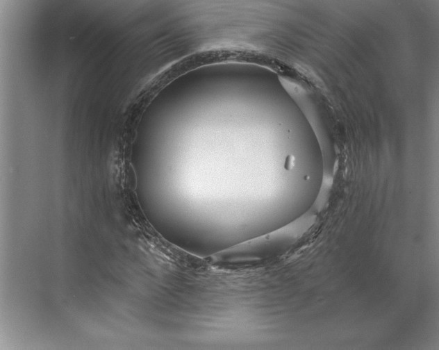 X0000071330872200607071629