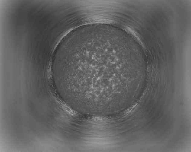 X0000071330875200607071629