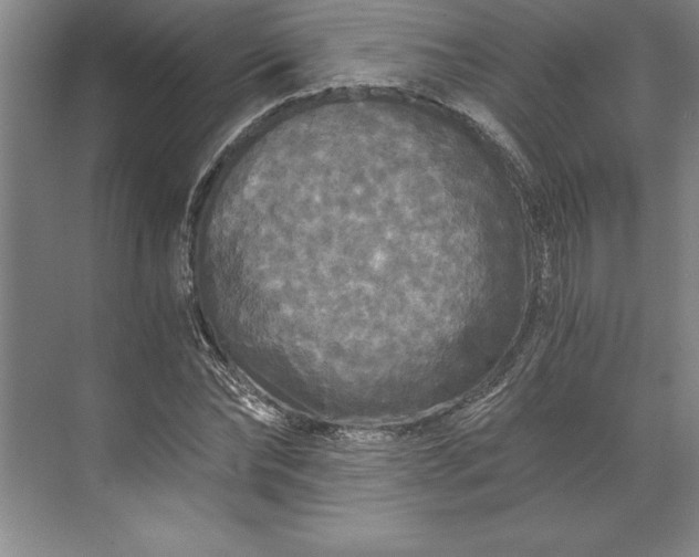 X0000071330878200607071629