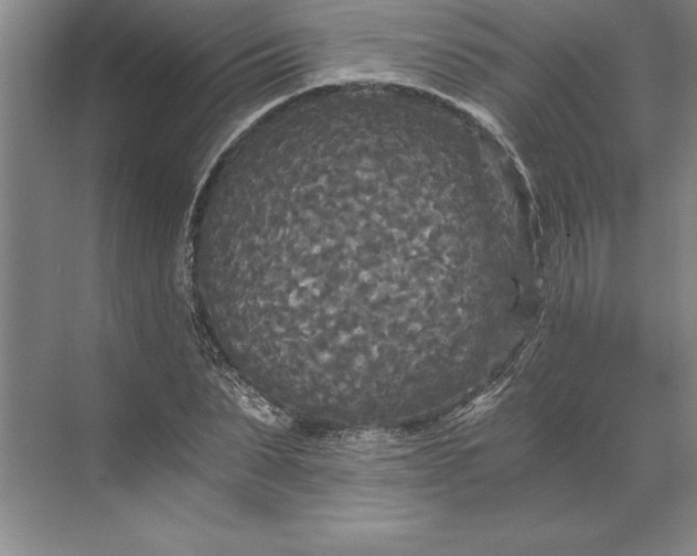 X0000071330879200607071629