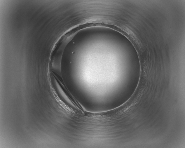 X0000071330880200607071629