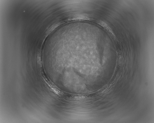 X0000071330882200607071629