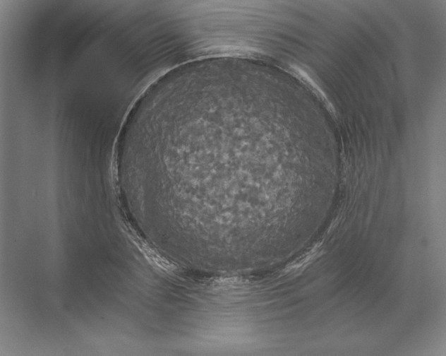 X0000071330883200607071629