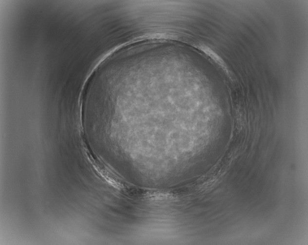 X0000071330886200607071629