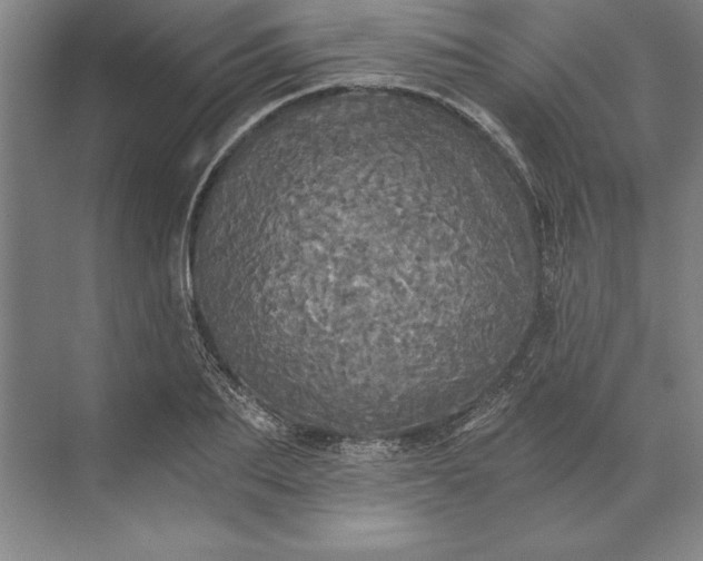 X0000071330887200607071629