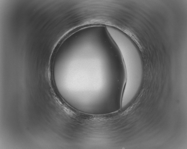 X0000071330888200607071629