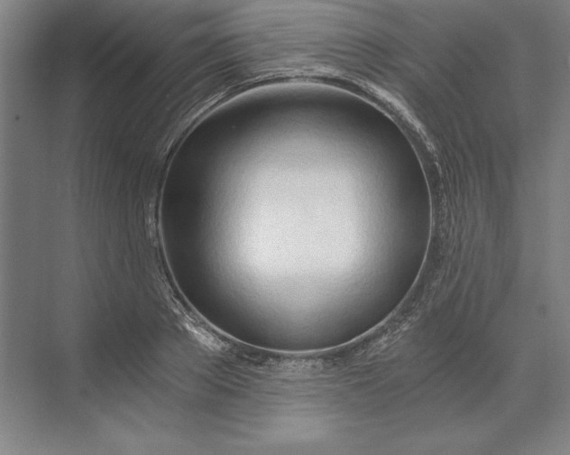 X0000071330889200607071629