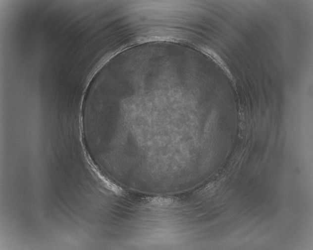 X0000071330890200607071629