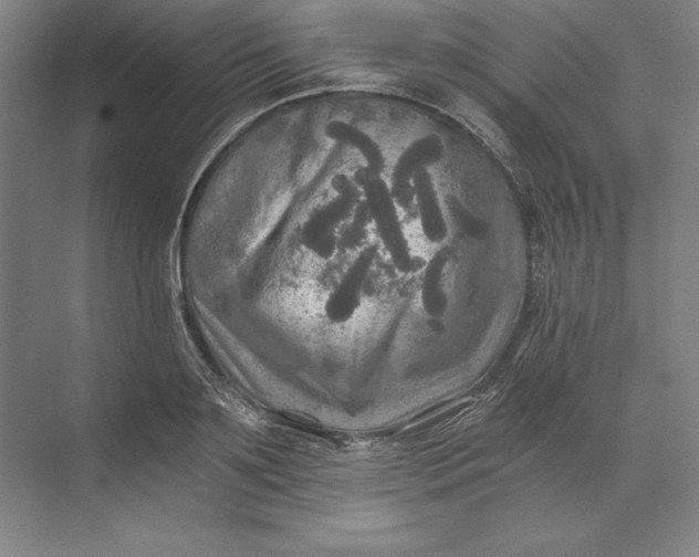 X0000071330891200607071629