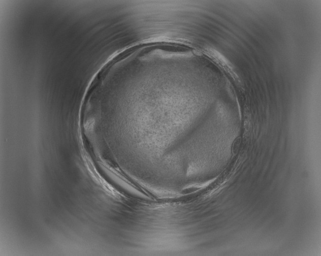 X0000071330892200607071629