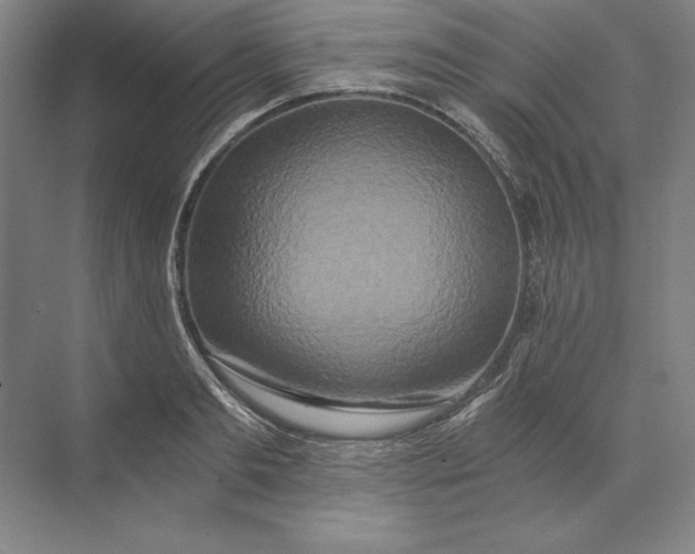 X0000071330893200607071629