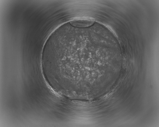 X0000071330895200607071629