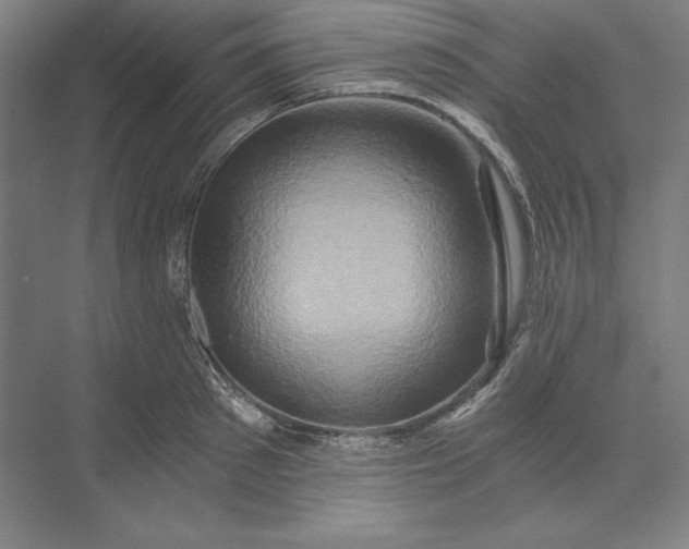 X0000071330897200607071629