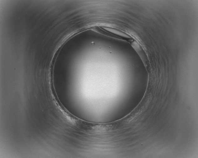 X0000071330898200607071629