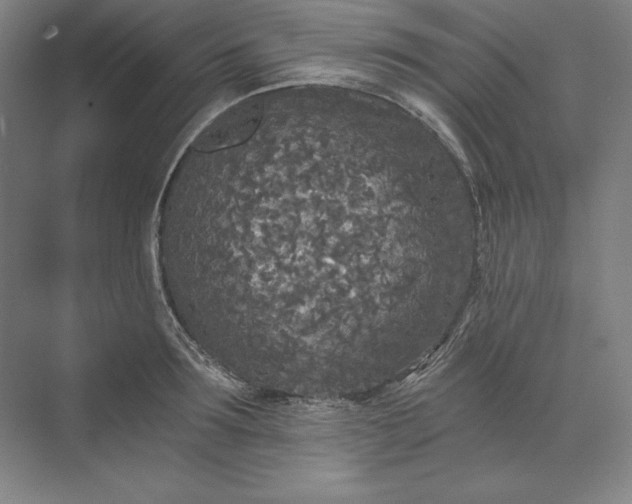 X0000071330899200607071629