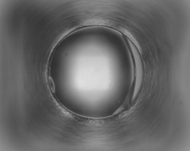 X0000071330901200607071629