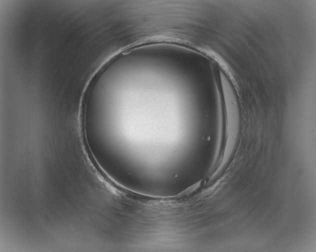 X0000071330902200607071629