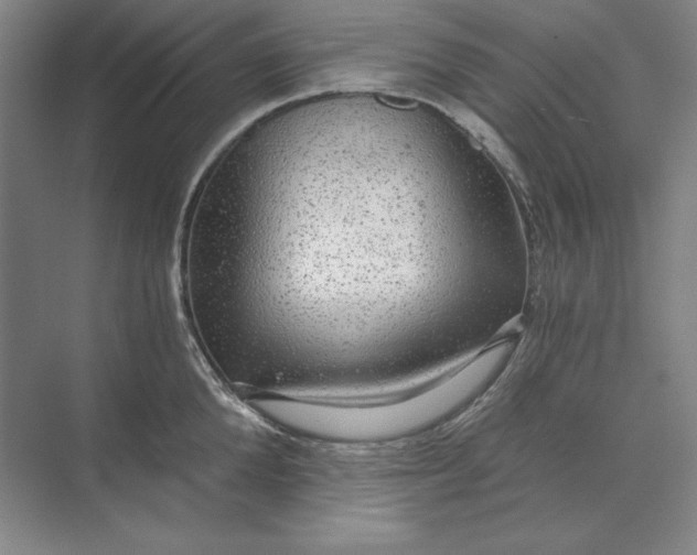 X0000071330904200607071629