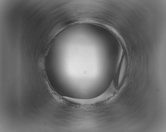 X0000071330905200607071629