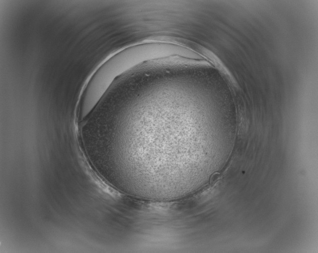 X0000071330908200607071629