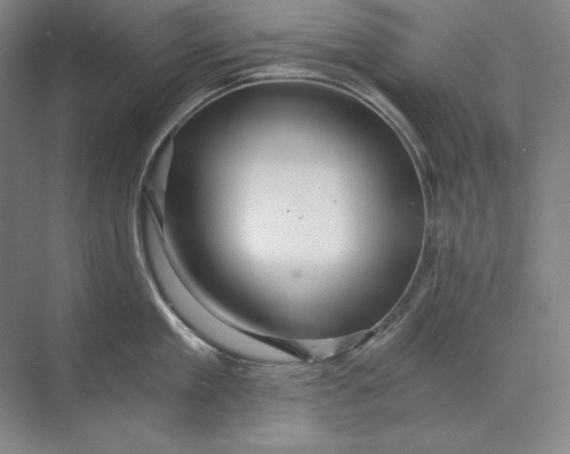 X0000071330909200607071629