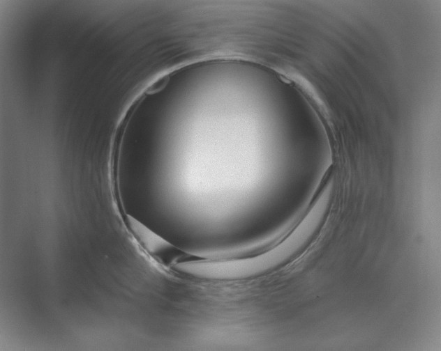 X0000071330910200607071629