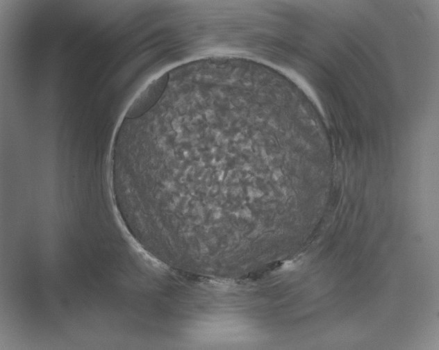 X0000071330911200607071629